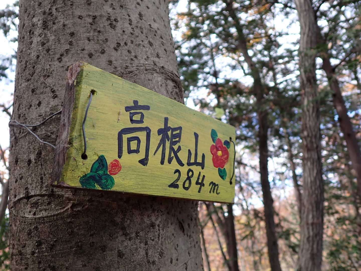 何時もの高根山！