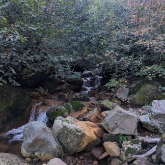 岩ゴロゴロ