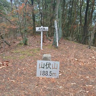 茶臼山➡山伏山ピーク▲
下の大きな看板は今月設置された看板みたい✨
縦走路全ての山に置いてありました。