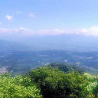 展望台から