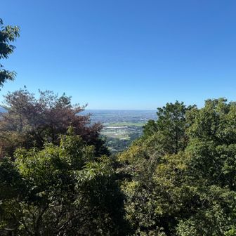 東屋から