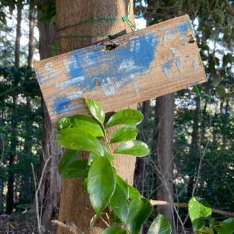 三峰山
あんまパワースポット感はないな
