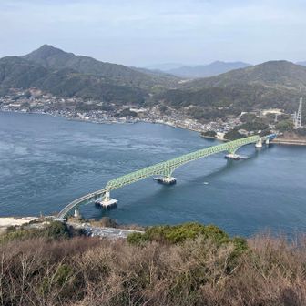 山頂展望台からの大畠瀬戸
左の峰は昨年登った琴石山