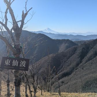 東仙波
日当たり良くて暖かい
