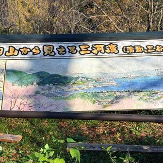 YAMAPでは『大沢山』ですが、この看板には『春日山』と書いてます。