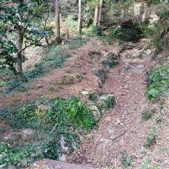 社の右から登りました
ピークはすぐ近くですが
正解のルートは分からず😆
落ち葉ズルズル🍂🍂🍂
スニーカーで来て少し後悔😭