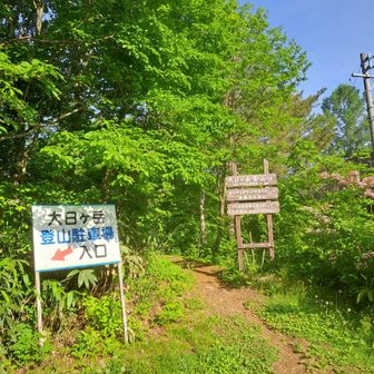 日差しが強そうなので、ダイナランドからをやめ、こちらから