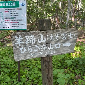 お疲れさまでした〜
長い下山だった〜😆

