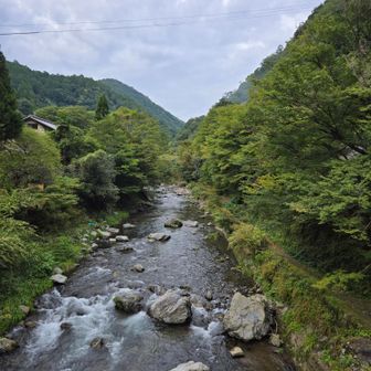 橋の上から清滝川
