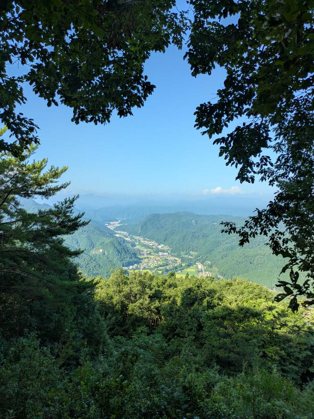 京塚山 往復コースの写真