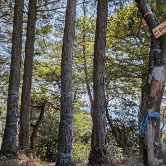 高取山から向山へ