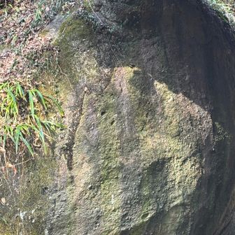 本殿左に据えられた石は人工物ではなく、岩そのものを神聖視する「磐座（いわくら）」信仰の流れをくむ名残りと考えられています。