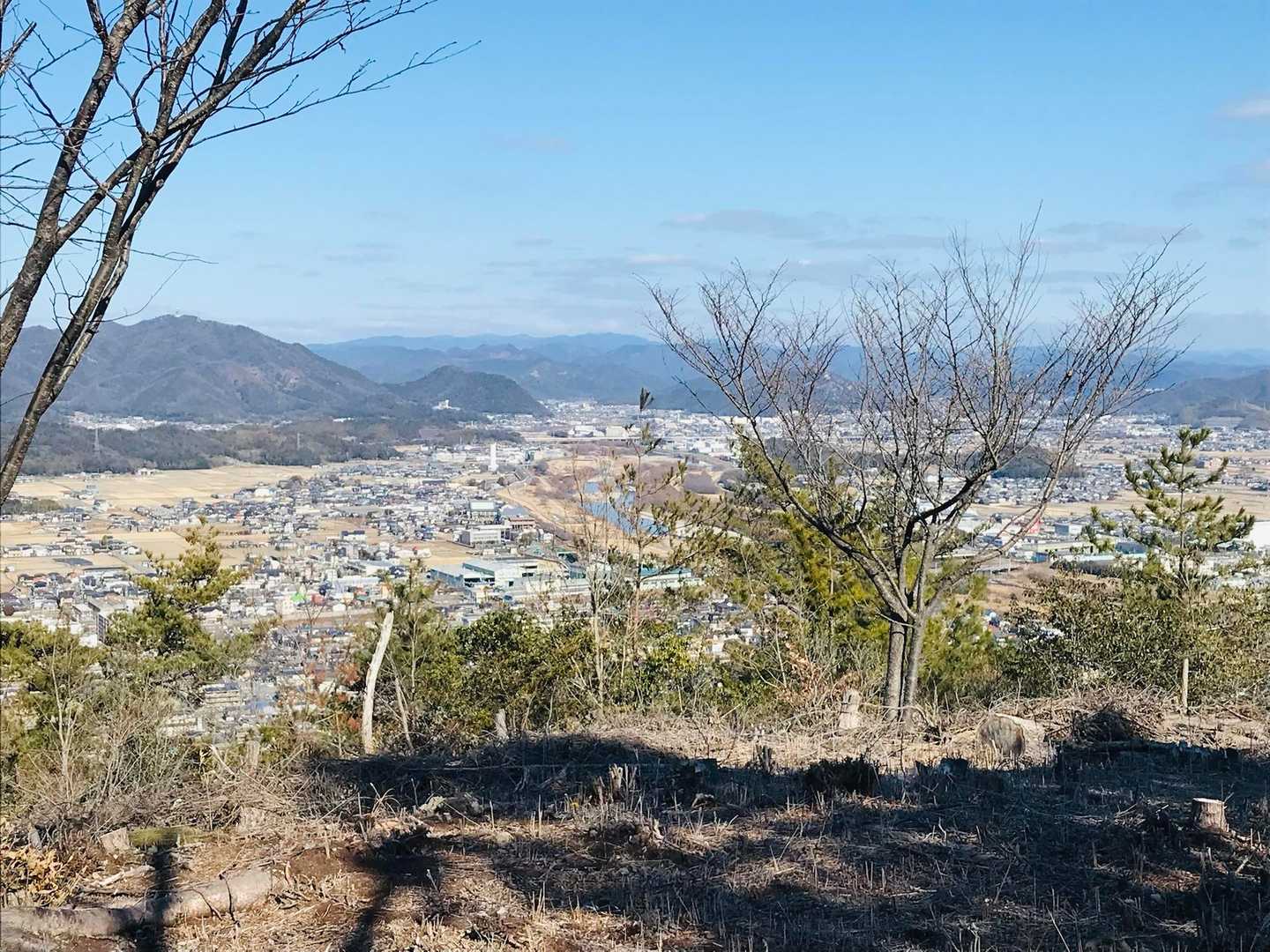 パーッと開けてます