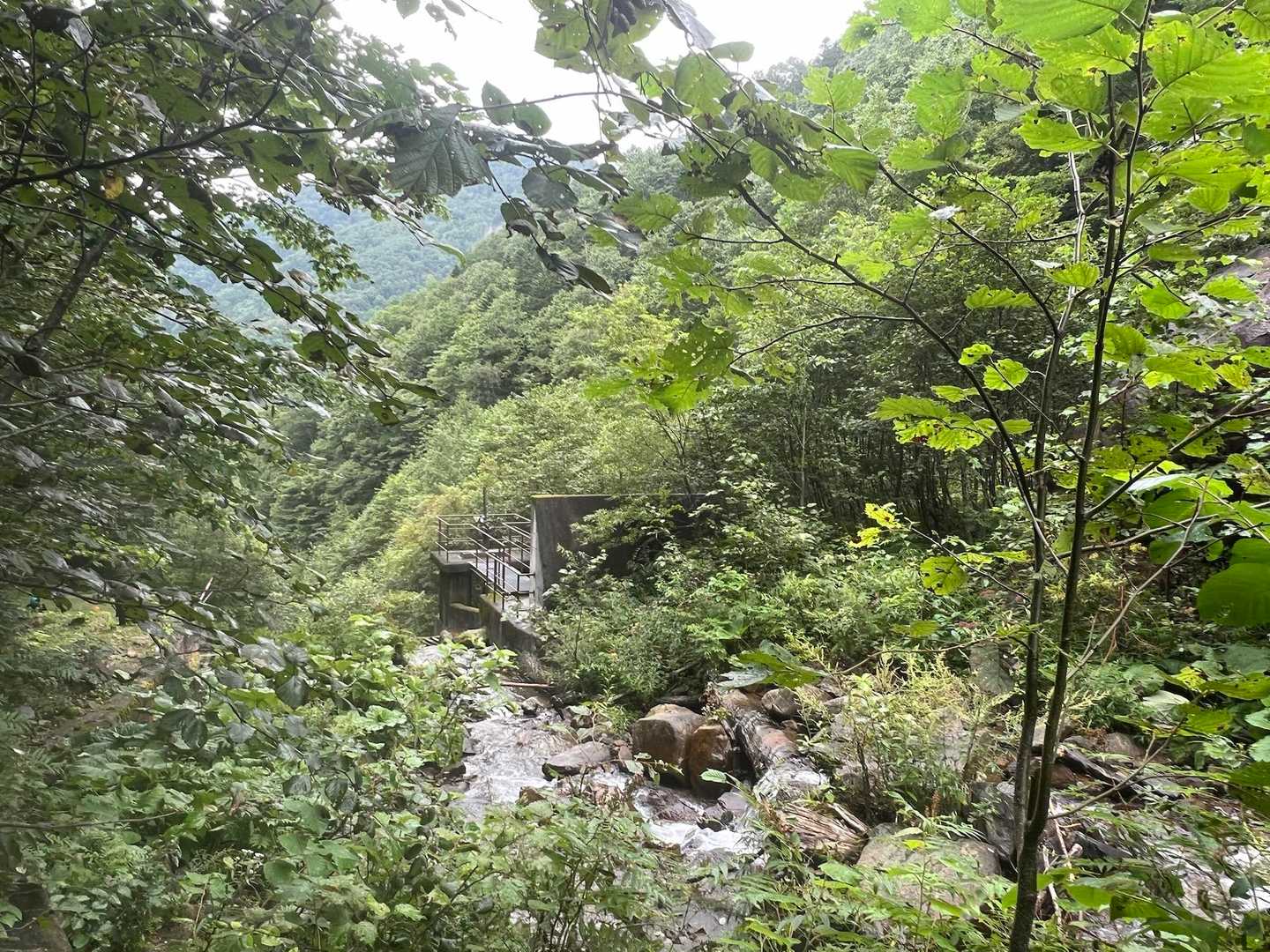 無事下山😮‍💨　滑るので真剣
　　　　写真少ない😮‍💨
車10台有りました。
一期一会　ありがとうございました🙇‍♀️

🍄沢山見た〜  沢登り練習　完🎊
