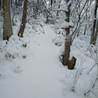 足場が埋もれて