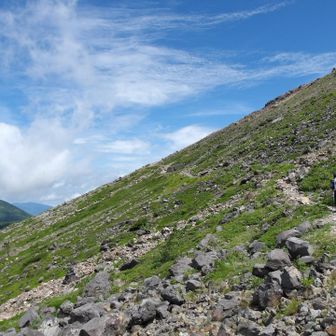 ゆずポンズのかぼ