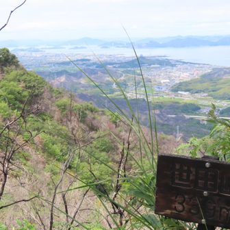 世田山山頂から
笠松山は次の機会ににして、今度ゆっくり歩きに来ます。