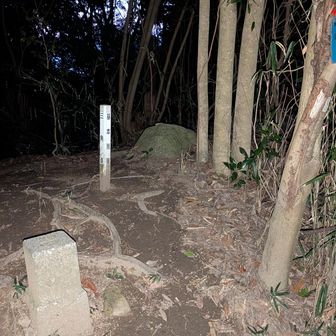 山頂
三等三角点　四王司山