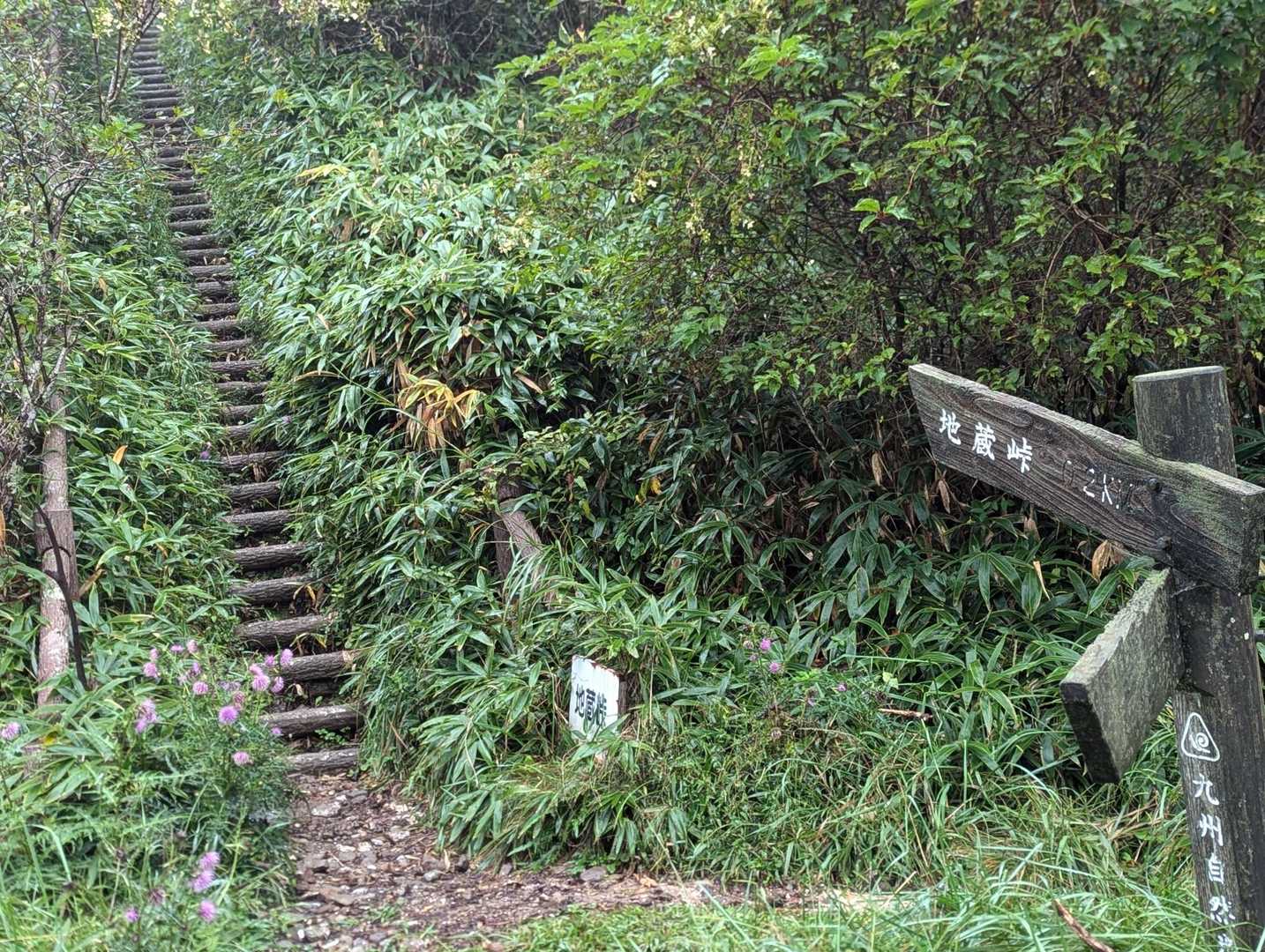 おおっ👀‼️スタートから階段ですね💦💦