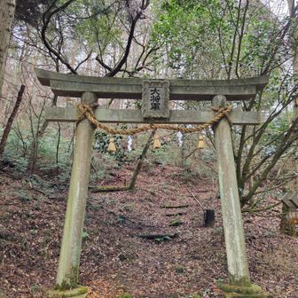 皆さんの日記でよく見る鳥居⛩️