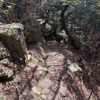 市ヶ原方面へ下る
この道は結構激下り、落ち葉が堆積し、道が悪くバランスを崩すと崖下へ落ちそうで結構怖い
あんまりおすすめしません。