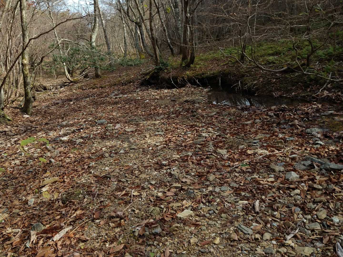 広い場所に出ました。
暫く歩き易い道が続きます。