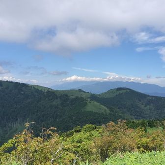 吹き抜ける風が心地いい