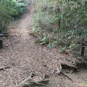 地図通り。
最近マニアックなルートばかり行っていたせいか、安心感がすごい。