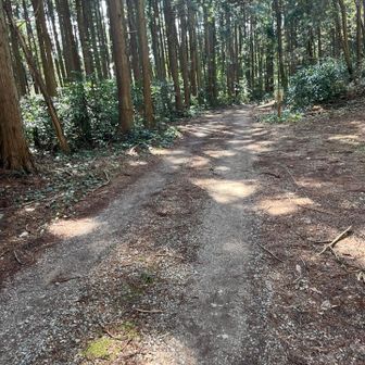 はじめ停めようとしてた登山口は最後が少しだけこんな道🛣️
来なくて良かった…
車高低いのでちょっとイヤかも💦
