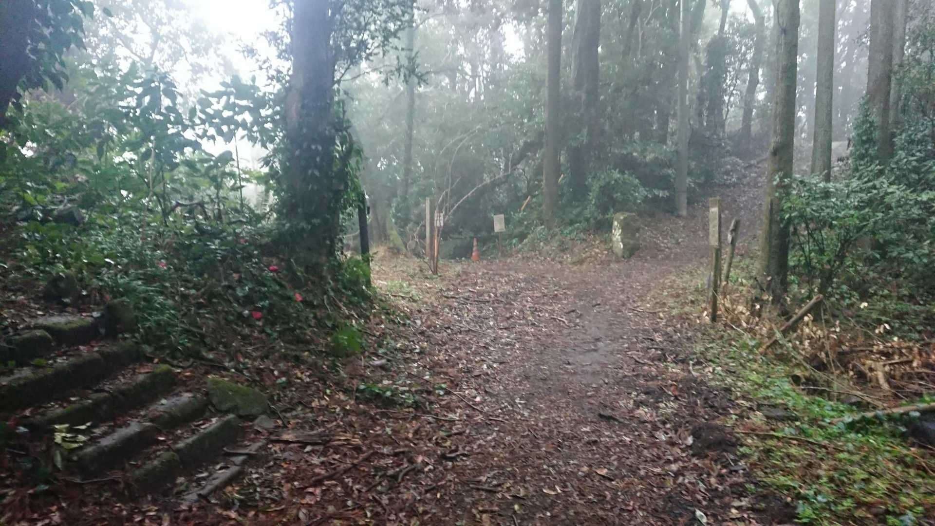 登山道復帰・・ﾎｯ😰

でも、風♒がたまに ﾋﾞｭ〰️〰️😨
藍屋さんの○○、飛ばされますね～🤣