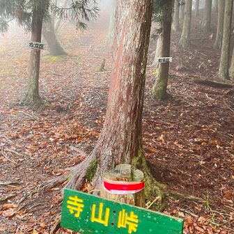 寺山峠に到着。
なんか雨が降ってきたぞ