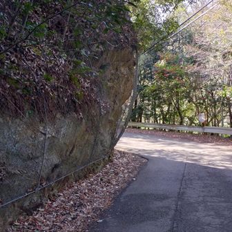 ここを車で通るのは嫌かも