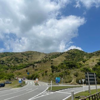 ここの分岐で道路を渡る。車が多い場合は慎重に。