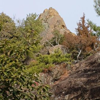 近づい来ました