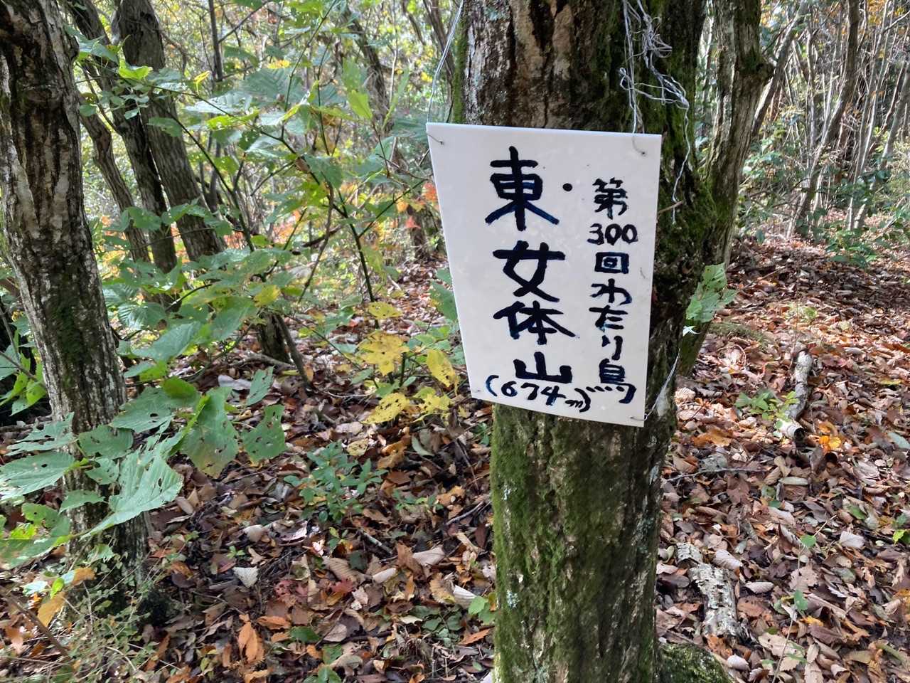 東女体山674mに到着