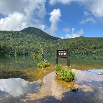 ここに辿り着くちょっと前の登山道で鳥居⛩️の所で聞いたガァー、バザーの音？声？再び…
ピストル🔫打って、あっち行け！
…恐る恐る登山道を抜けると、声、音の正体が
建物の中の人が机を引き摺る音でした〜ホッとして皆んなで大笑い🤣😆