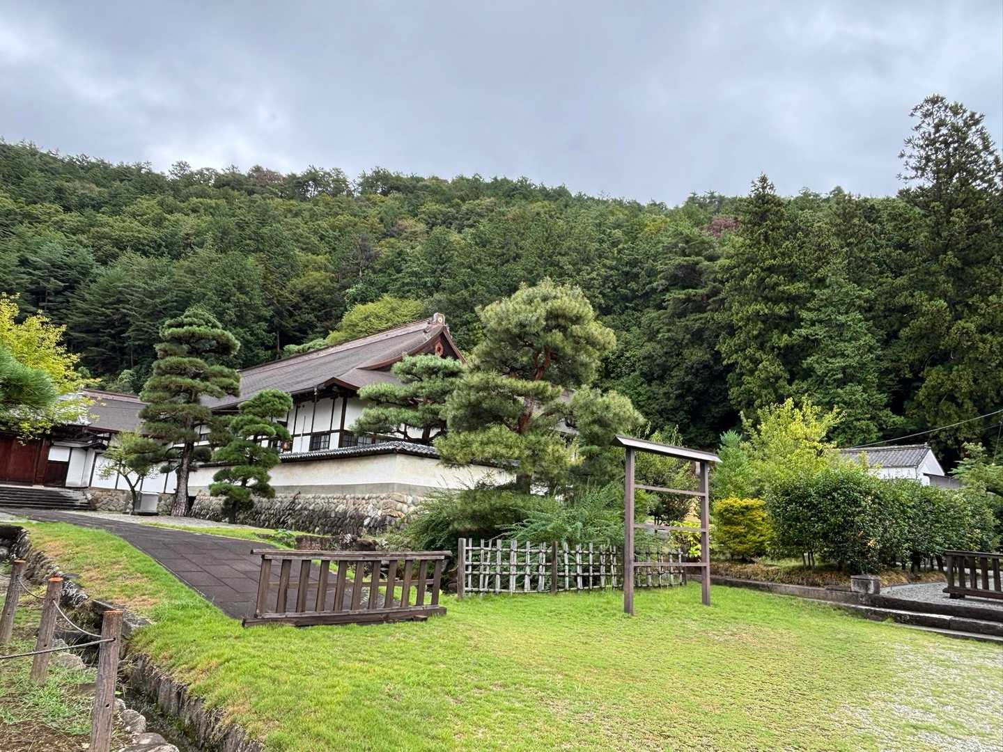 綺麗な