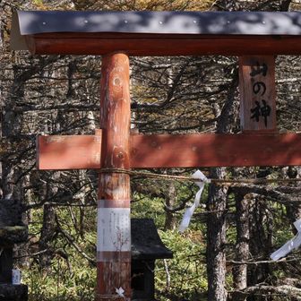 無事下山🙏
ありがとうございました😊