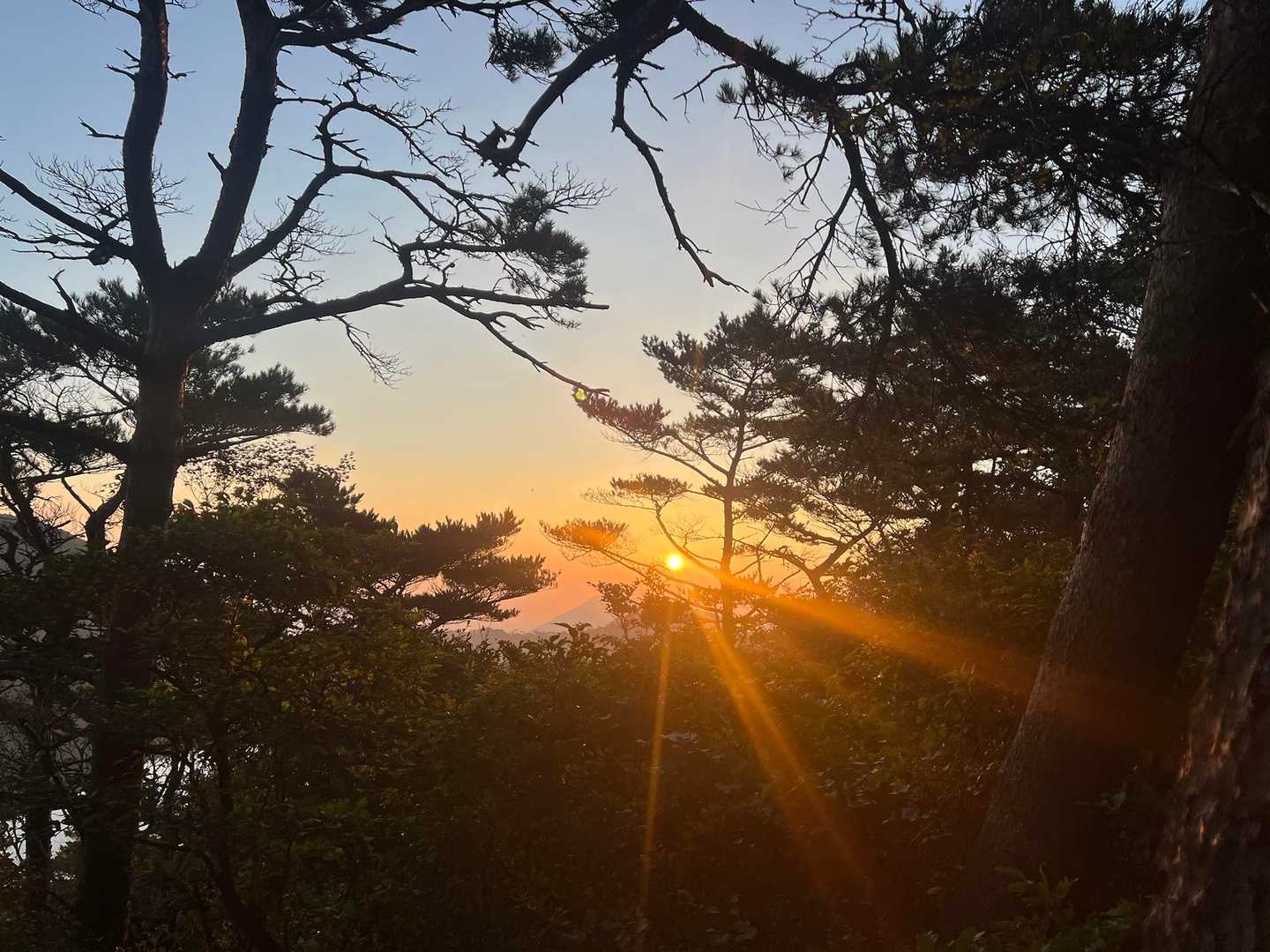🌅