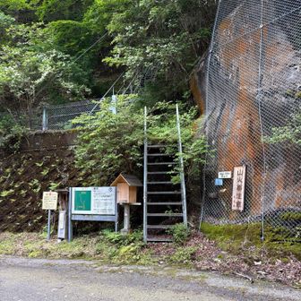 スライドしてのは1組のみ。ほとんど貸し切りで静かな山歩きが楽しめました。ありがとうございました♪