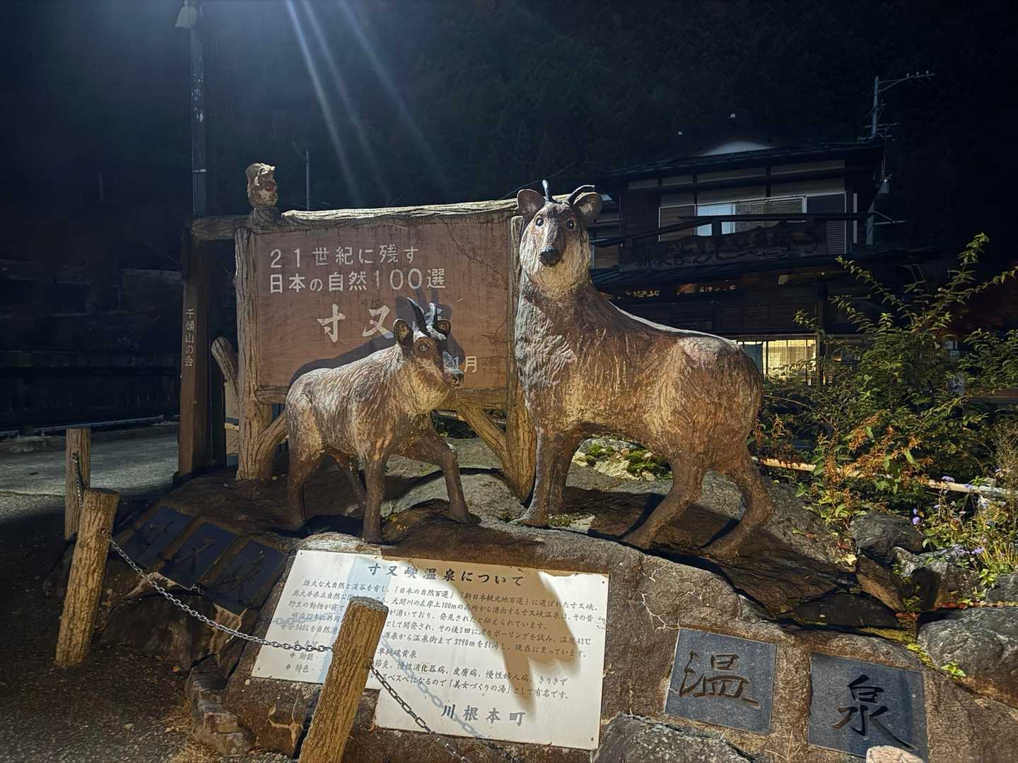久しぶり👋