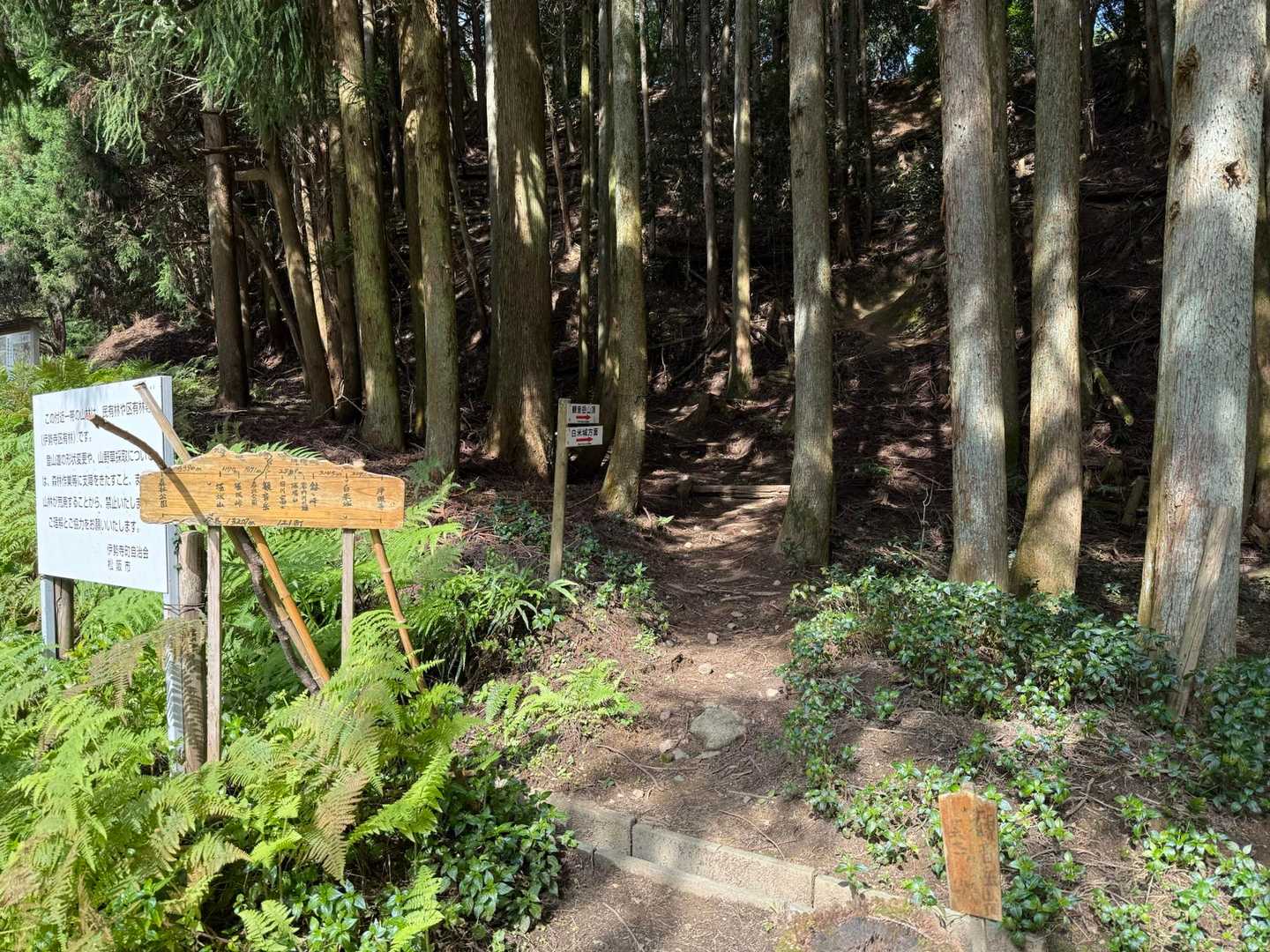今日は観音岳へ