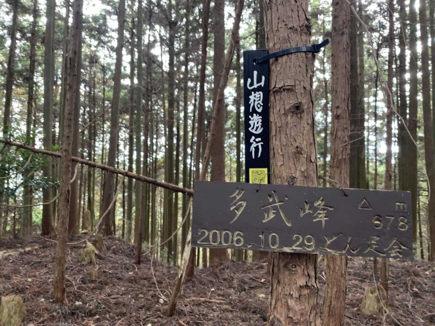 山頂到着