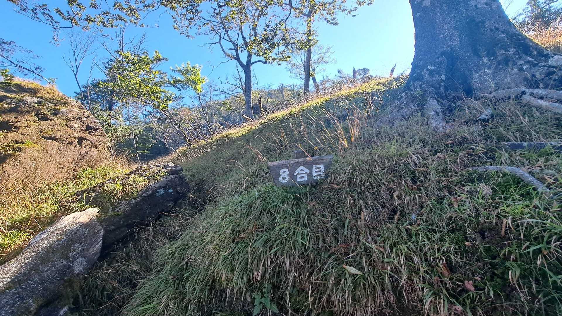 やっと8合目。