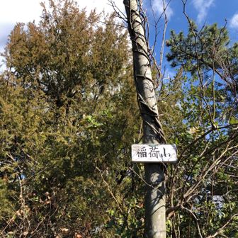 稲荷山山頂です