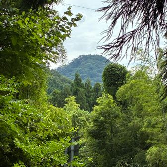 尖山を目指します