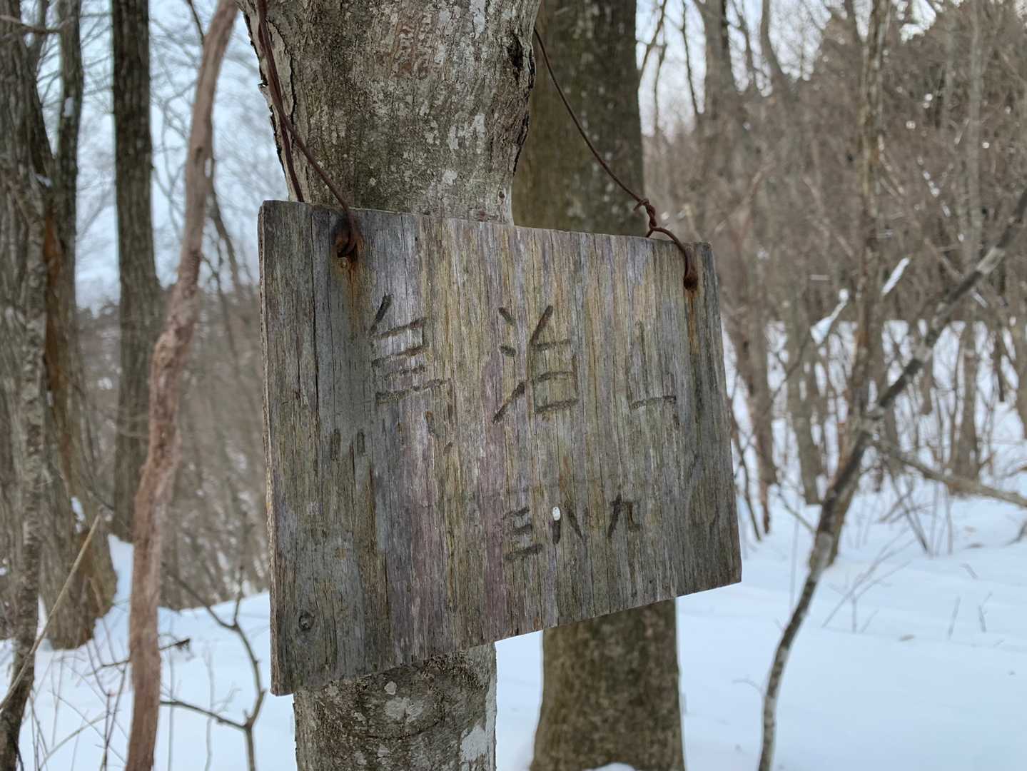 はい！。
ワープ山頂(笑)。