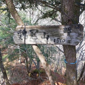 念願の鶏冠山🐔
これは嬉しい一座😁