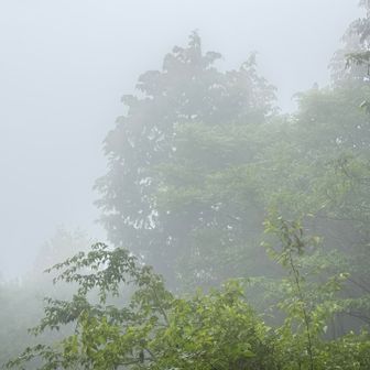 ガスは晴れない🌫️