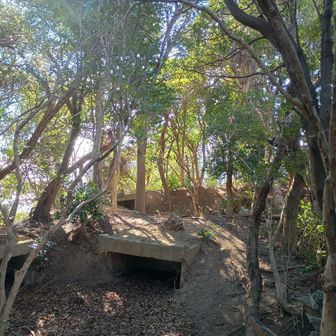 小一時間ほどで、東山に到着。高射砲台の跡でしたね。このあとは、旧摩耶道を外れ、学校林道で天狗道の尾根に合流。
